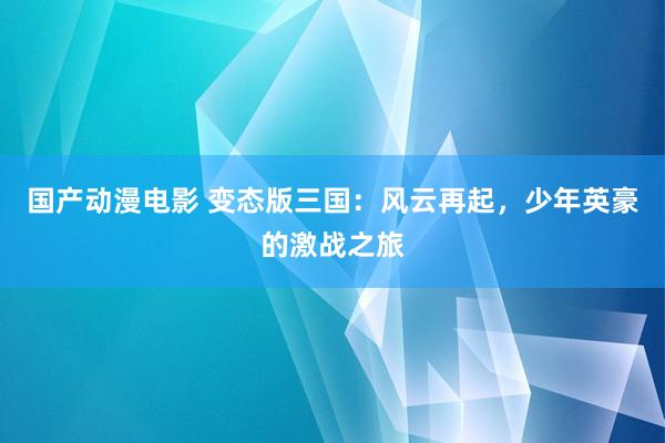 国产动漫电影 变态版三国：风云再起，少年英豪的激战之旅